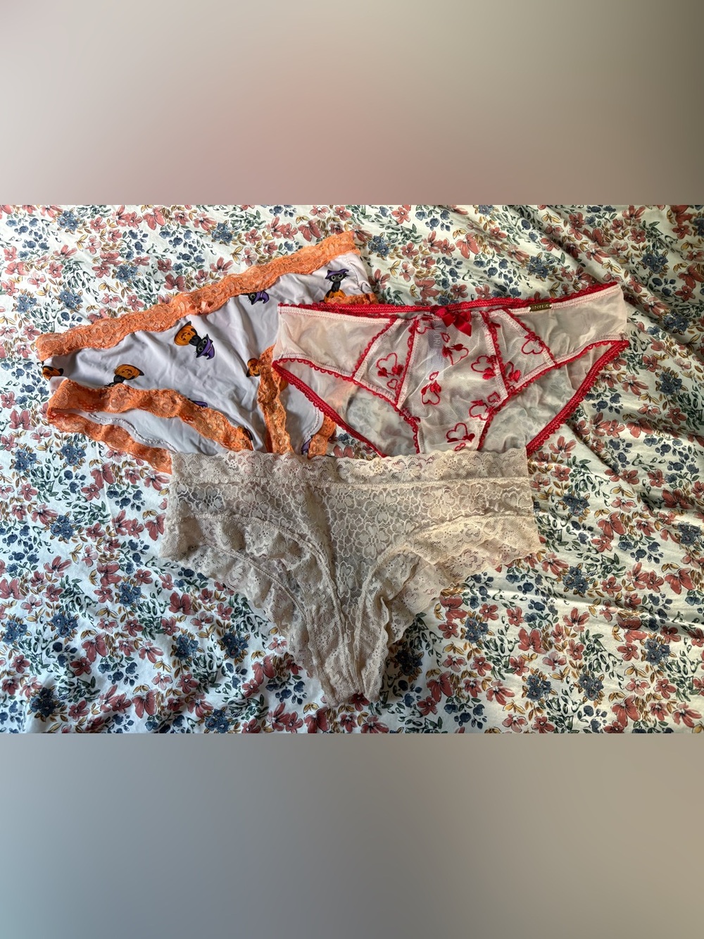 Women’s Lace Bikini Panties - Cream & White/Red Options